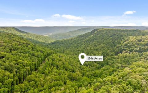 Tiny photo for 7335 S Pittsburg Mountain Road, South Pittsburg, TN 37380 (MLS # 1519585)