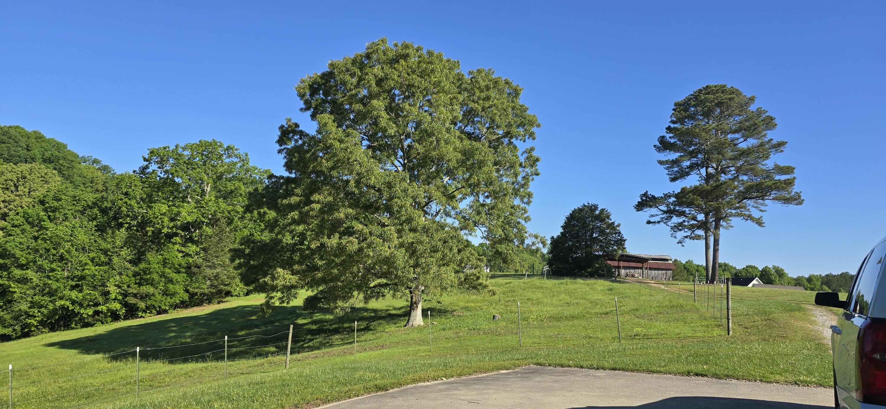 864 Hullender Road, Ringgold, Georgia image 3