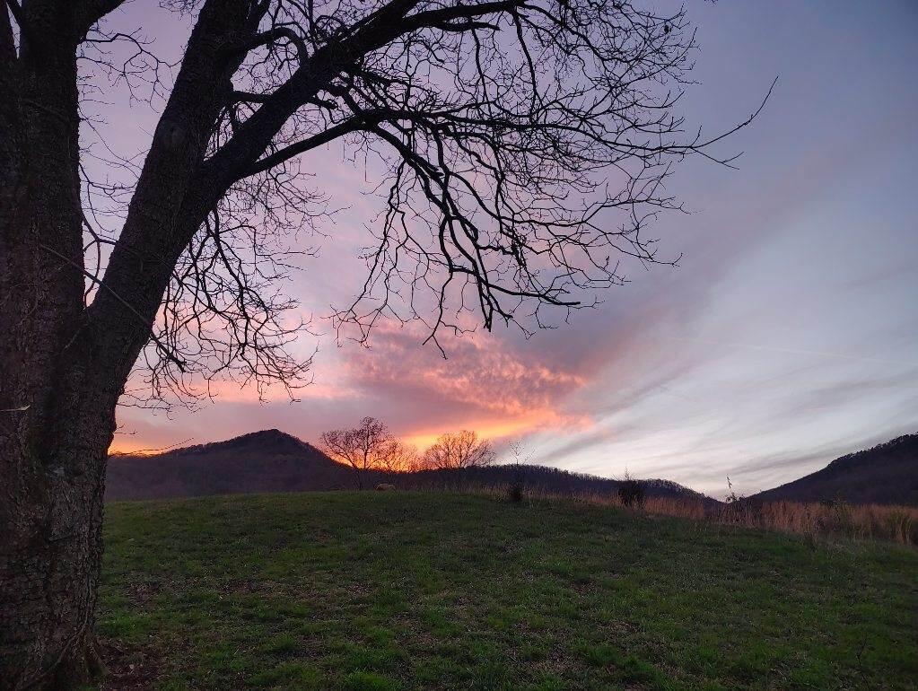 525 Shady Grove Road, Sequatchie, Tennessee image 6