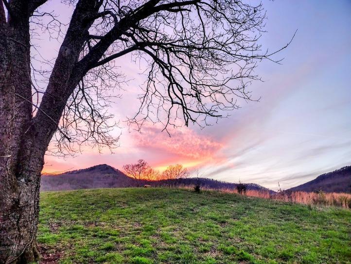 525 Shady Grove Road, Sequatchie, Tennessee image 5