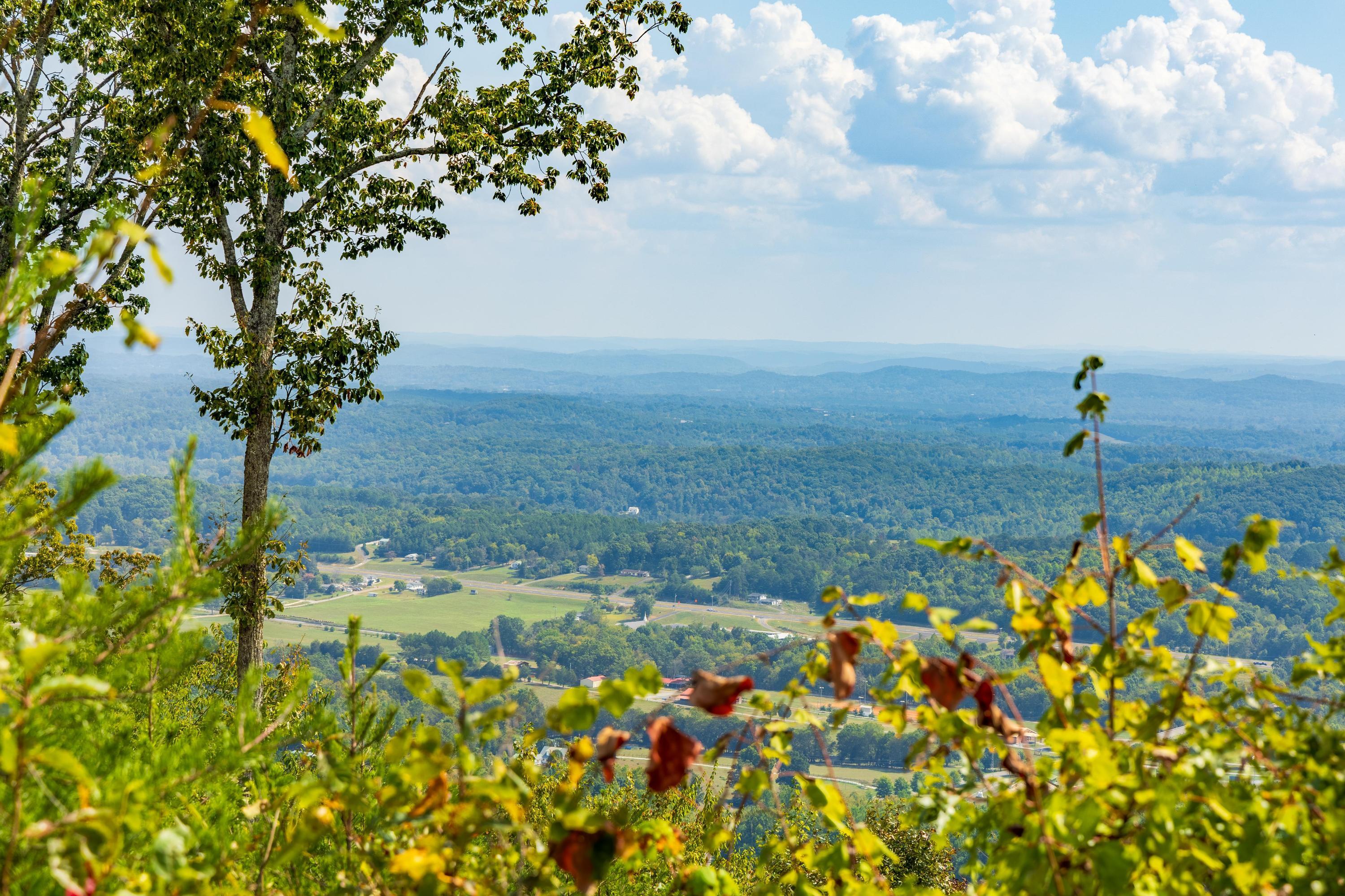 1177 Escape Drive #LOT7, Evensville, Tennessee image 8