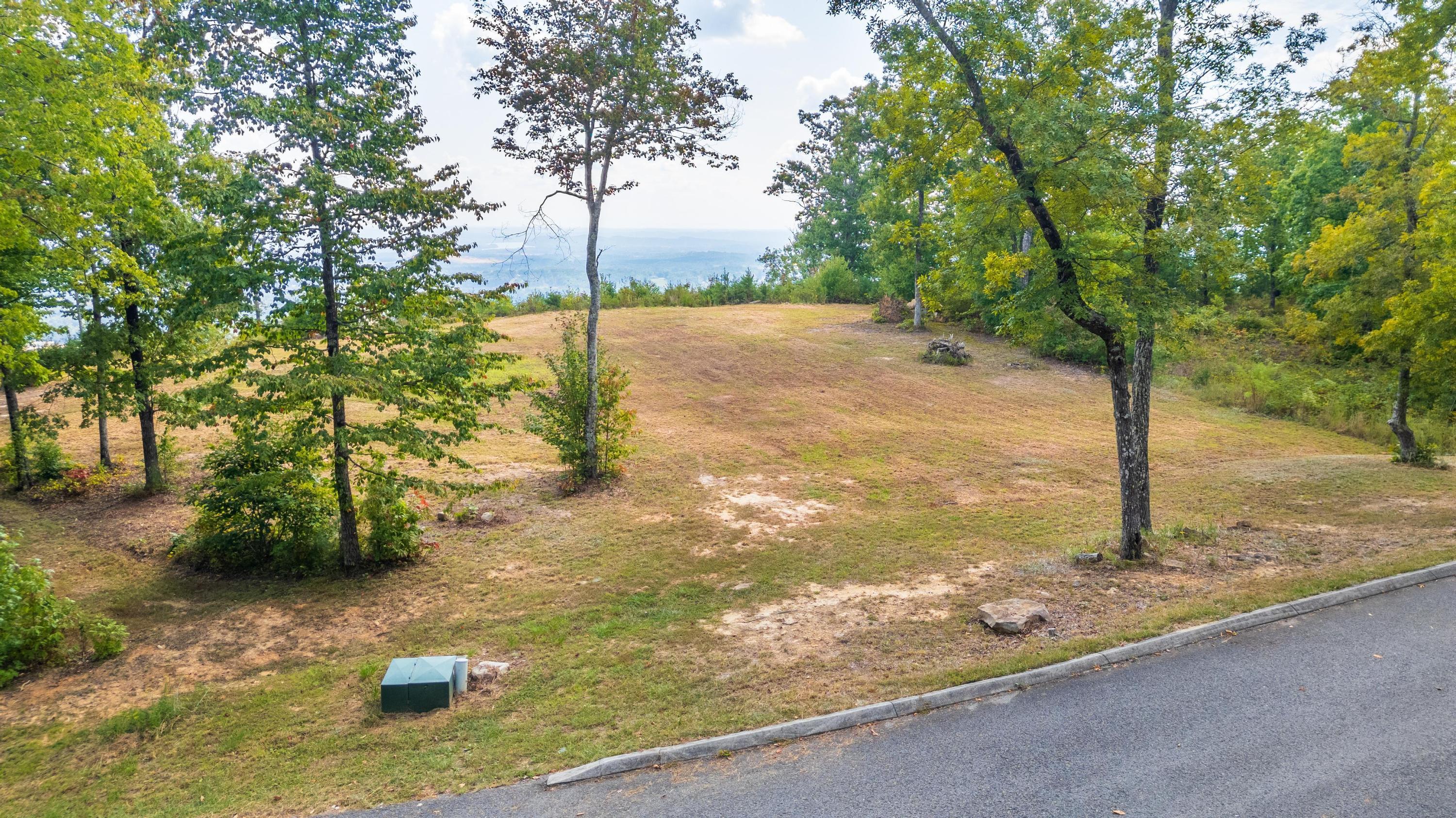 1177 Escape Drive #LOT7, Evensville, Tennessee image 6