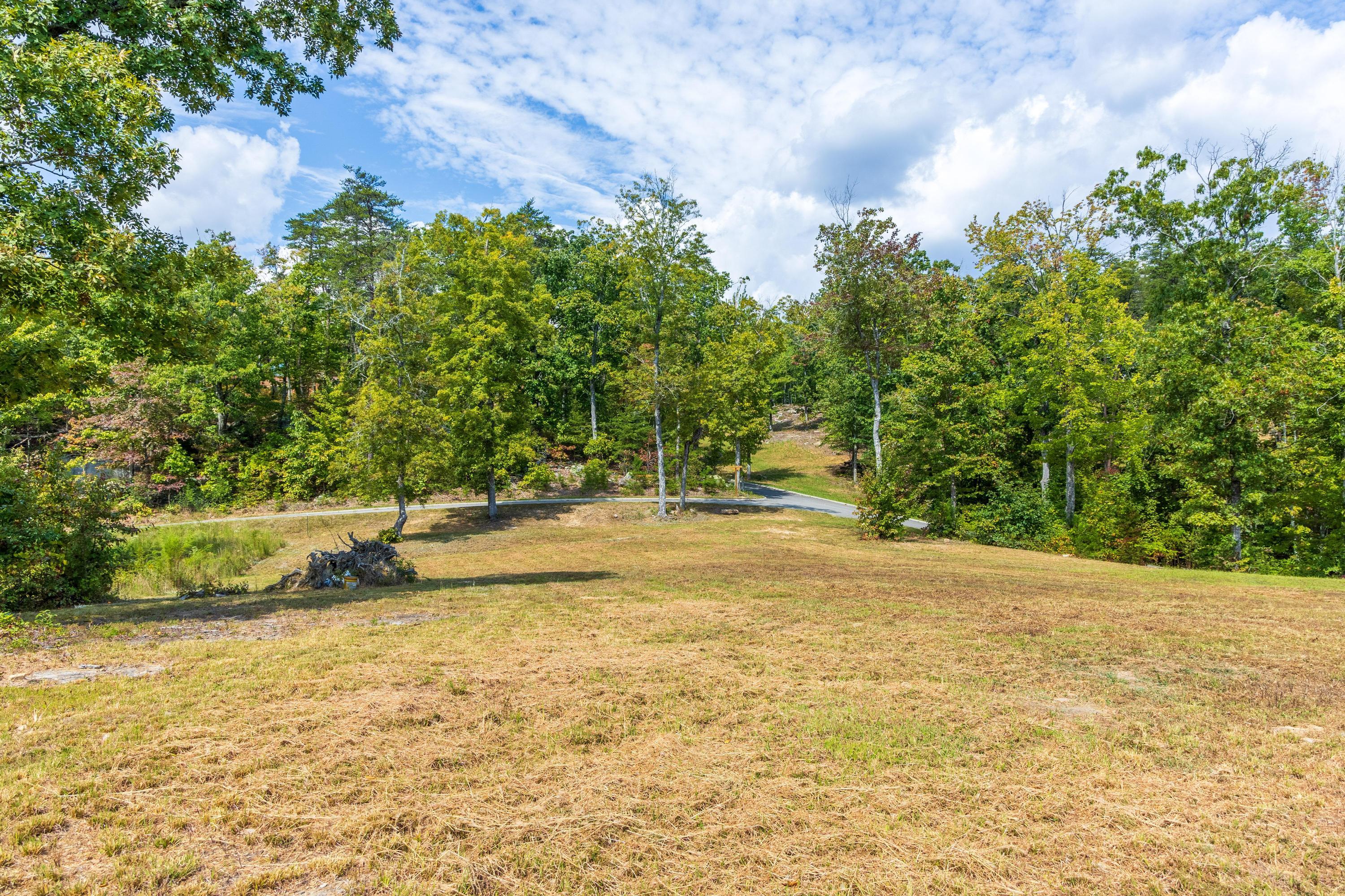 1177 Escape Drive #LOT7, Evensville, Tennessee image 4