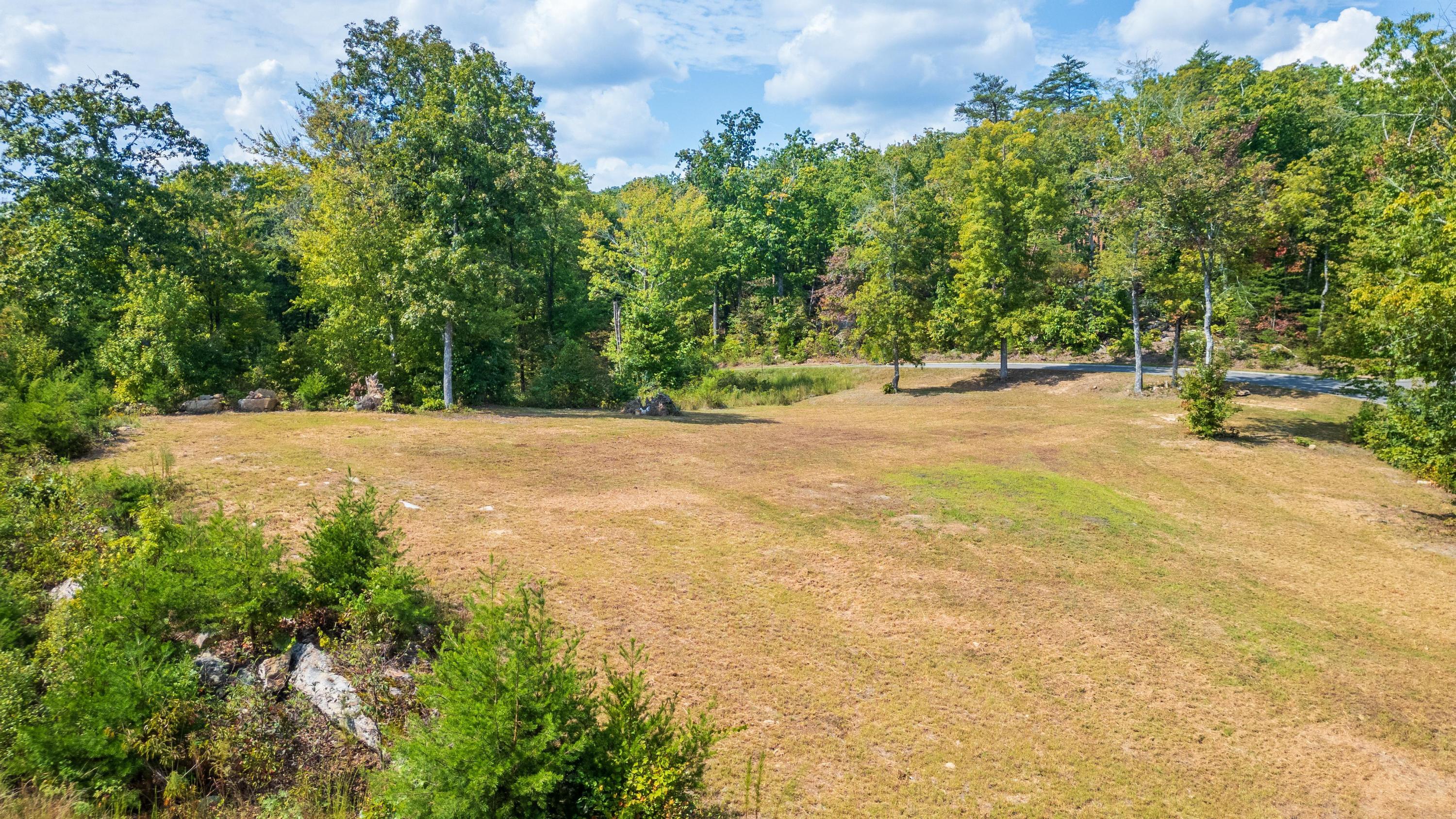 1177 Escape Drive #LOT7, Evensville, Tennessee image 14