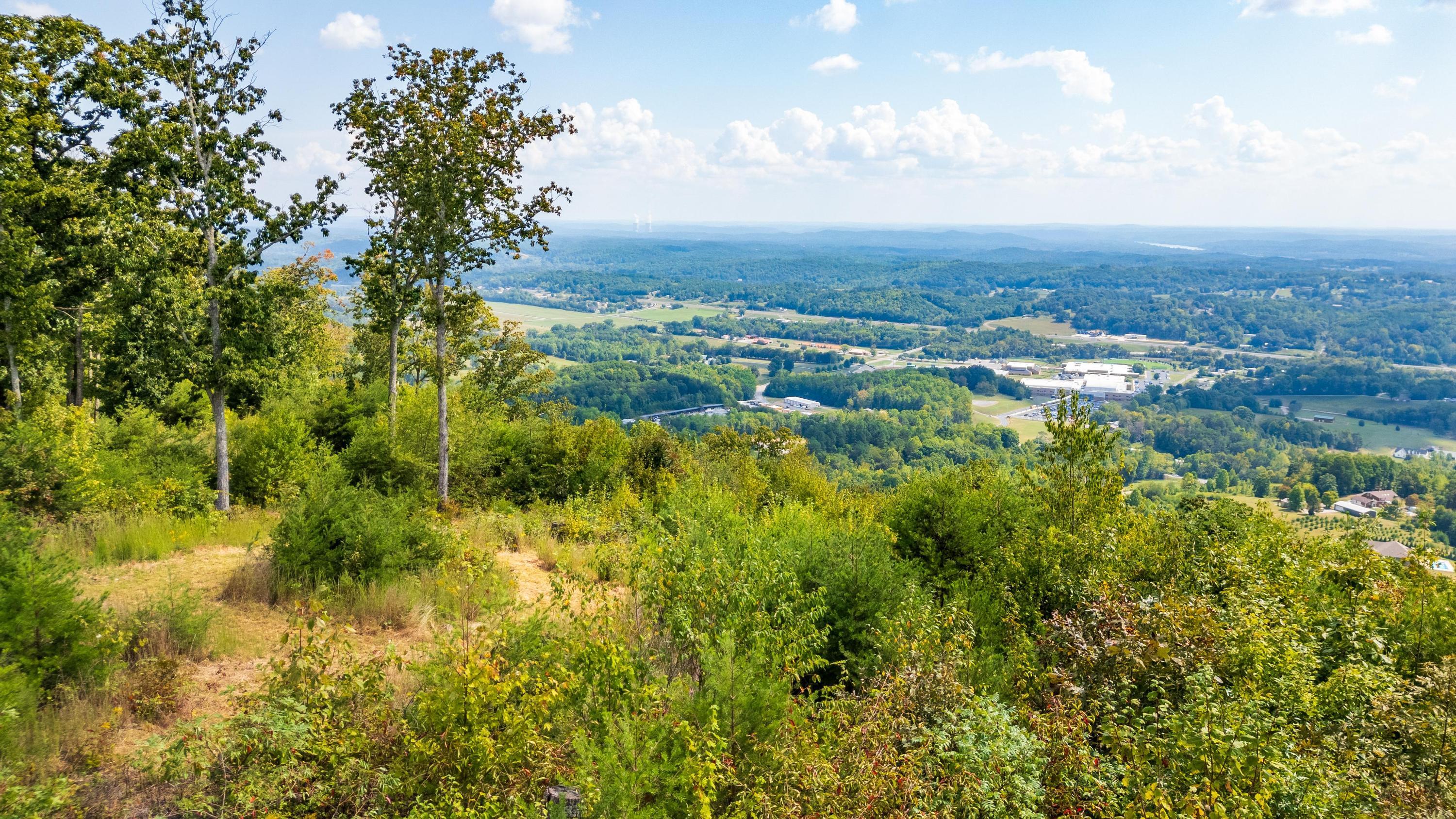 1177 Escape Drive #LOT7, Evensville, Tennessee image 15