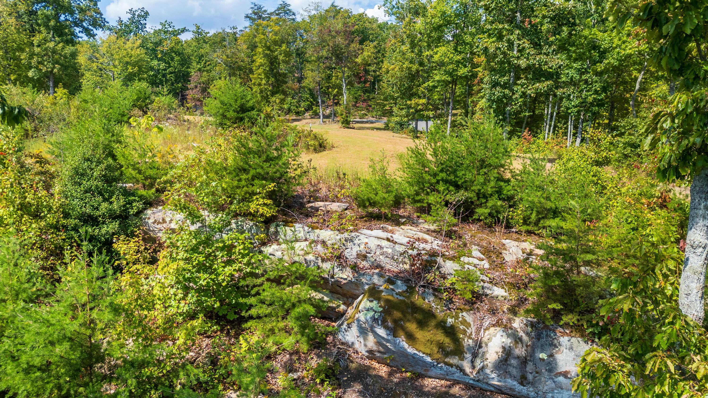 1177 Escape Drive #LOT7, Evensville, Tennessee image 13
