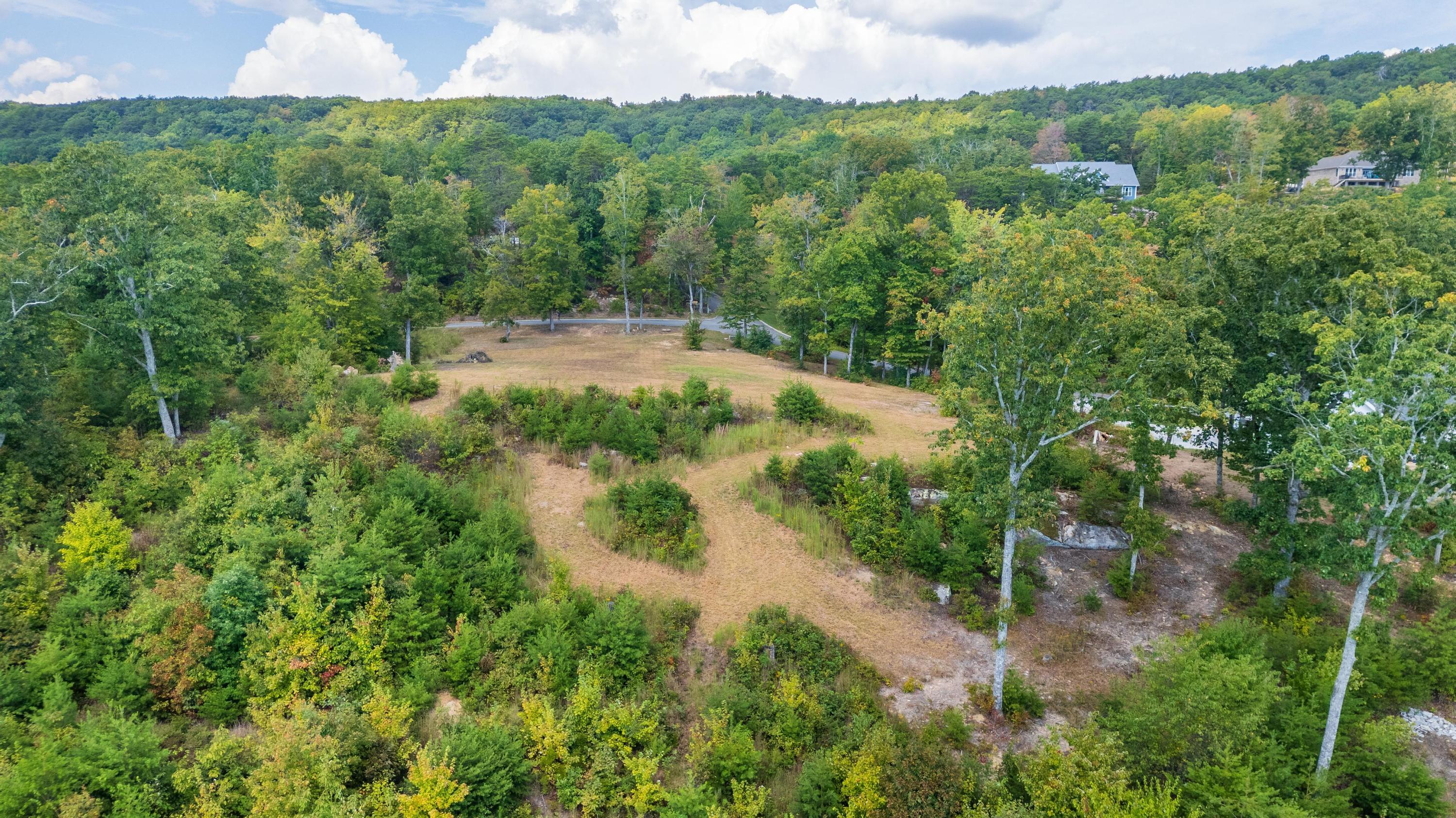 1177 Escape Drive #LOT7, Evensville, Tennessee image 19