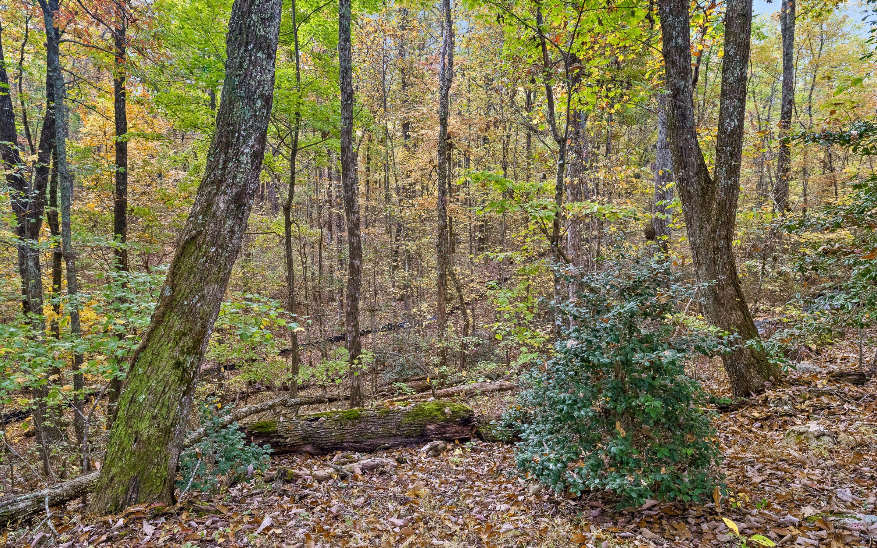 1820 Sawyer Farms Lane, Signal Mountain, Tennessee image 18