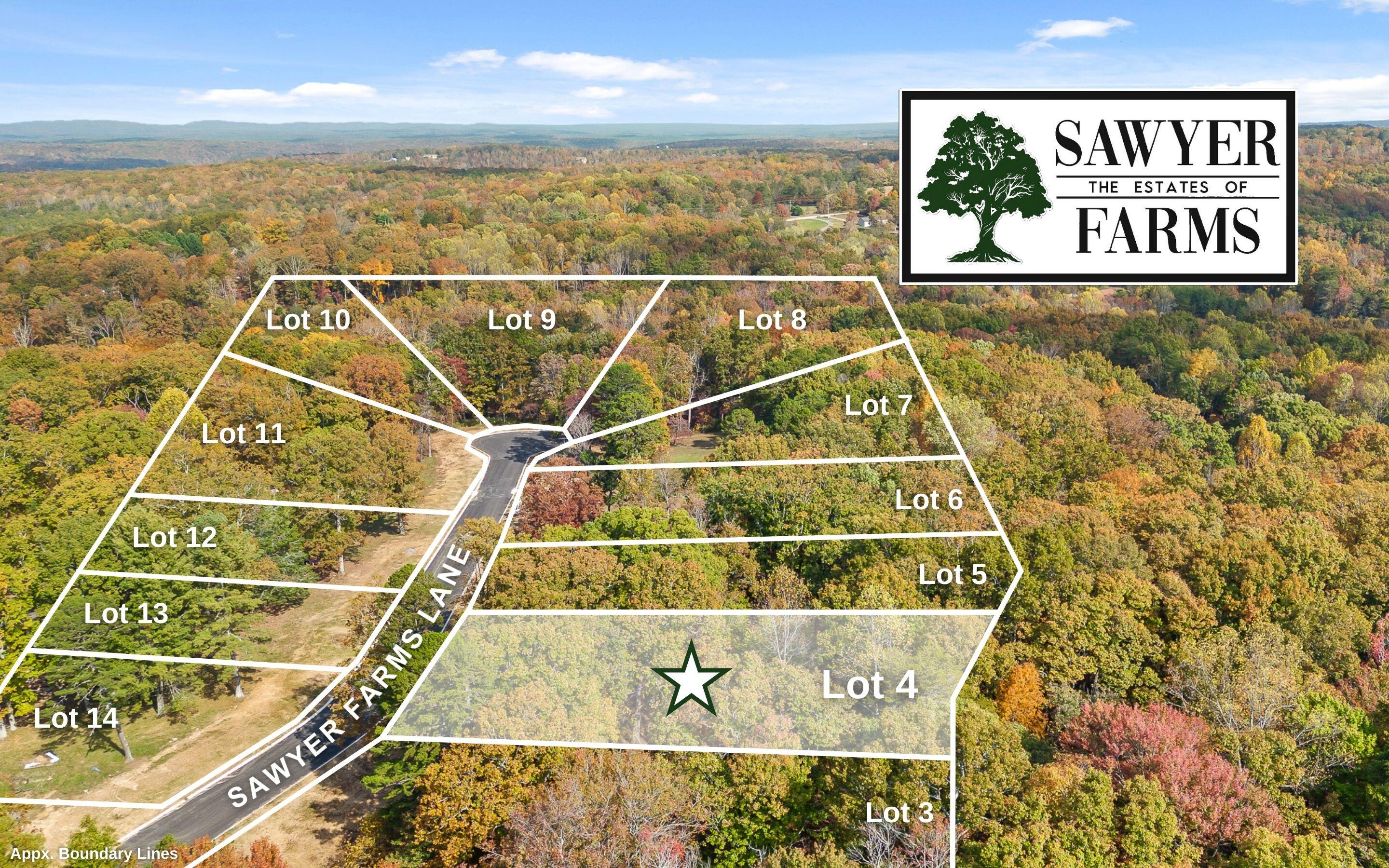 1820 Sawyer Farms Lane, Signal Mountain, Tennessee image 4
