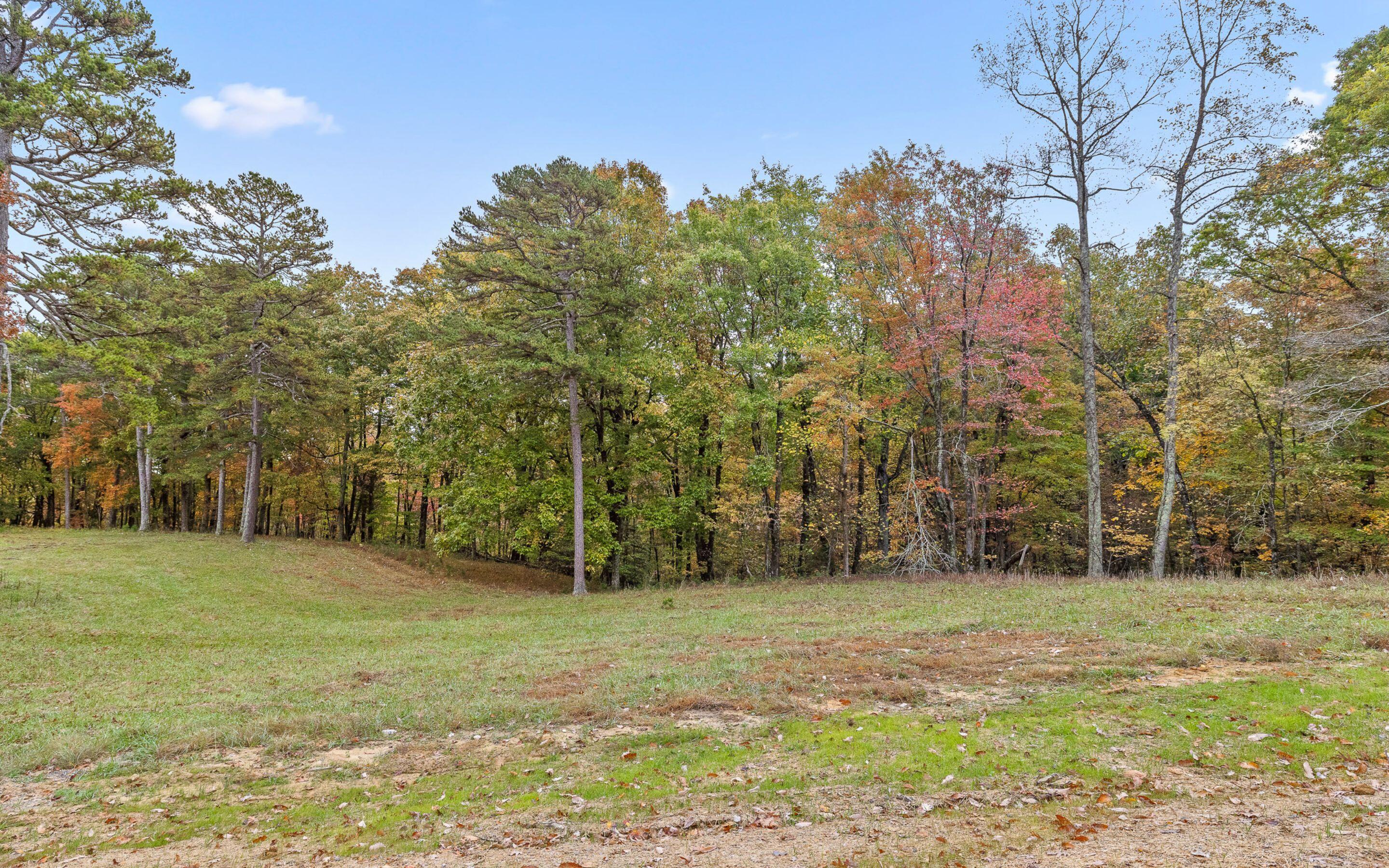 1820 Sawyer Farms Lane, Signal Mountain, Tennessee image 16