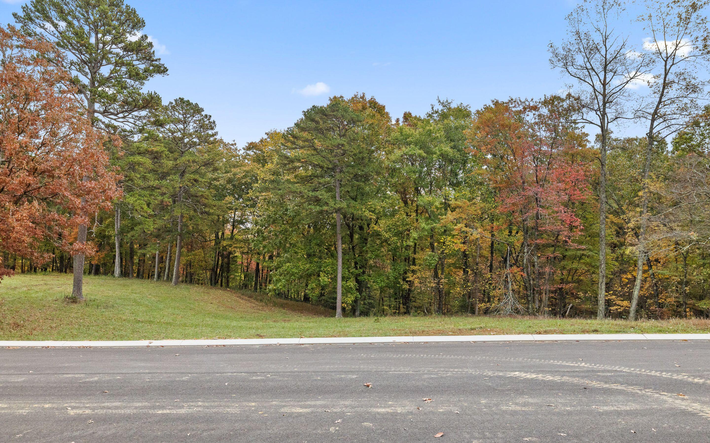1820 Sawyer Farms Lane, Signal Mountain, Tennessee image 15