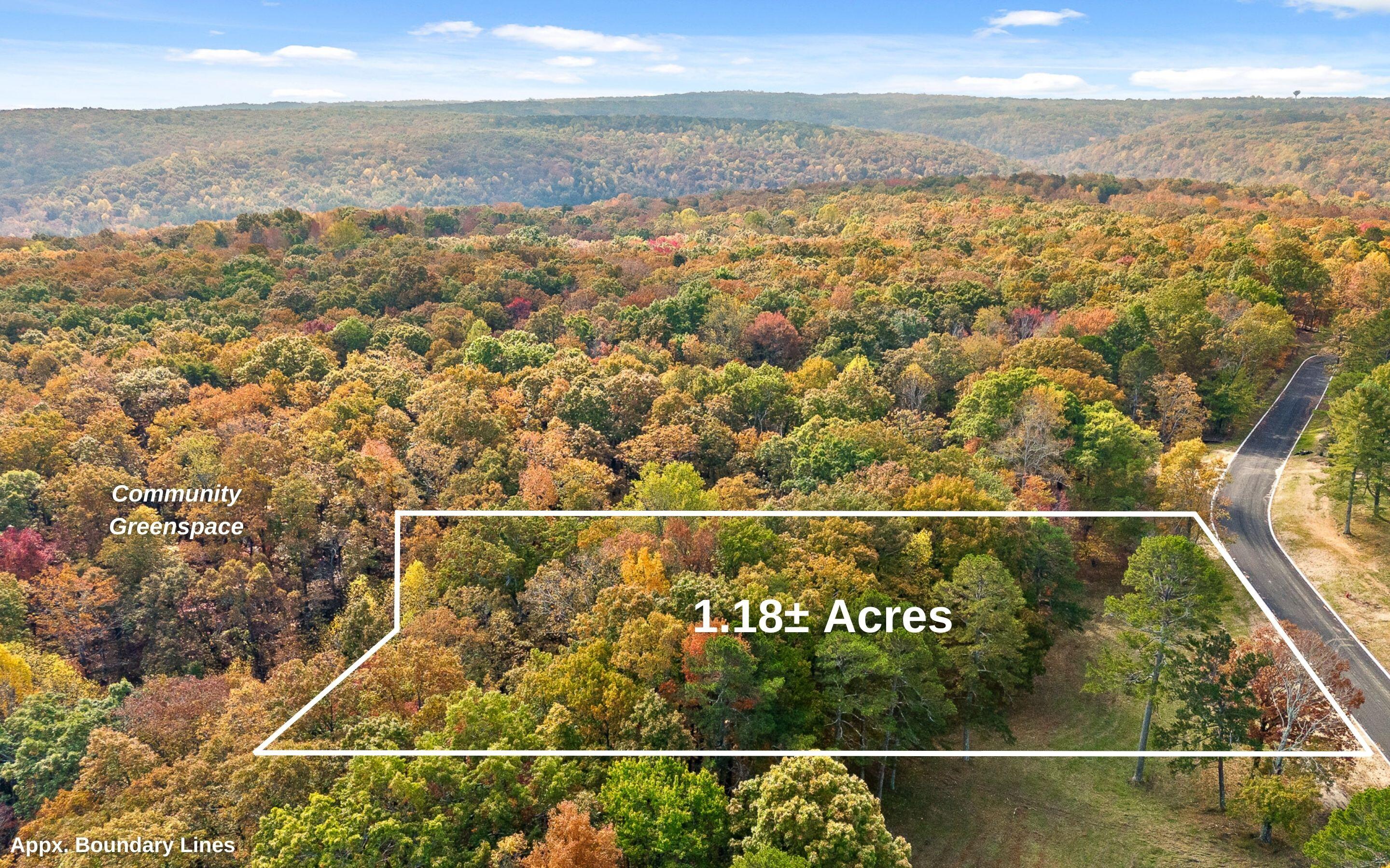 1820 Sawyer Farms Lane, Signal Mountain, Tennessee image 1