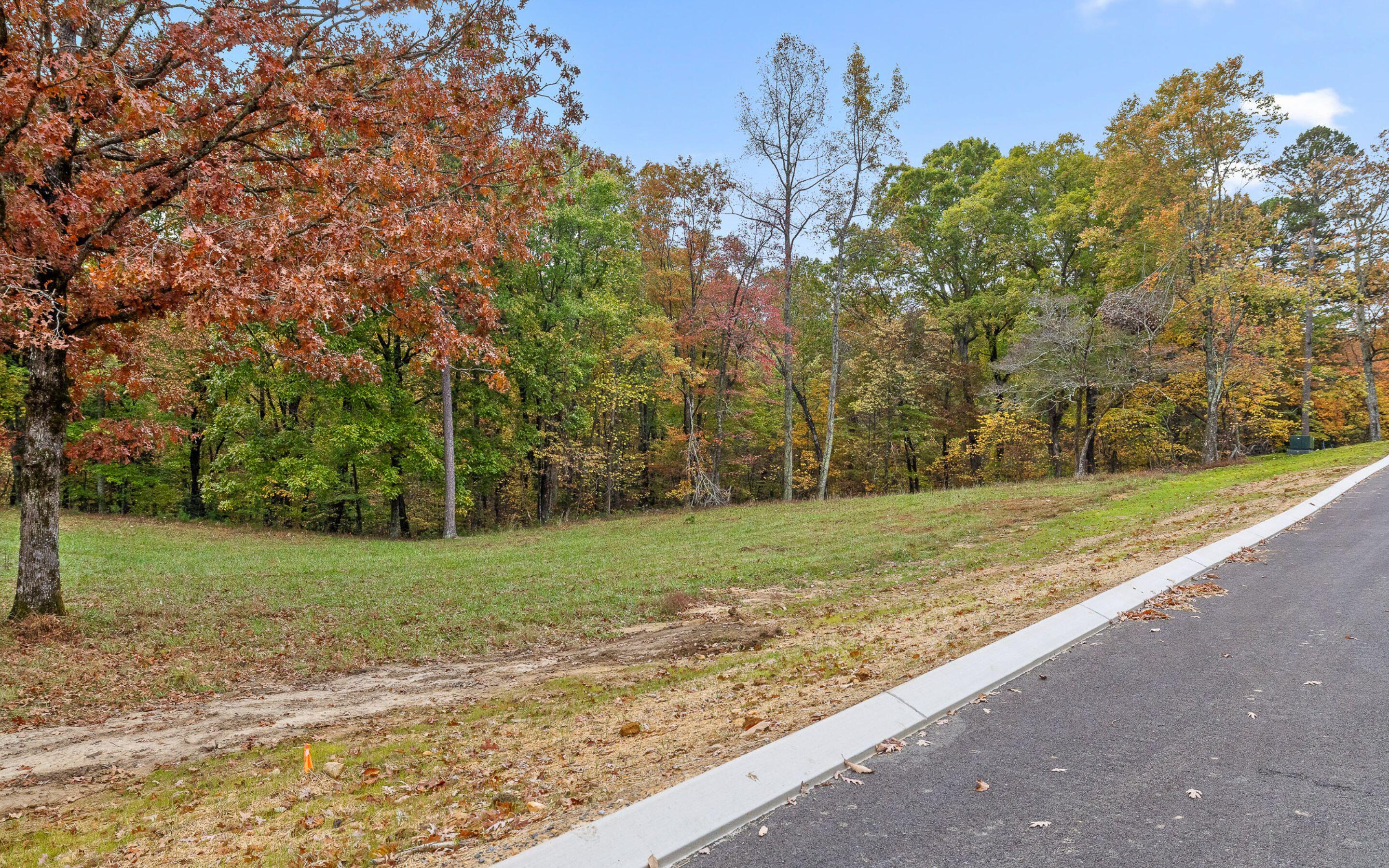 1820 Sawyer Farms Lane, Signal Mountain, Tennessee image 5