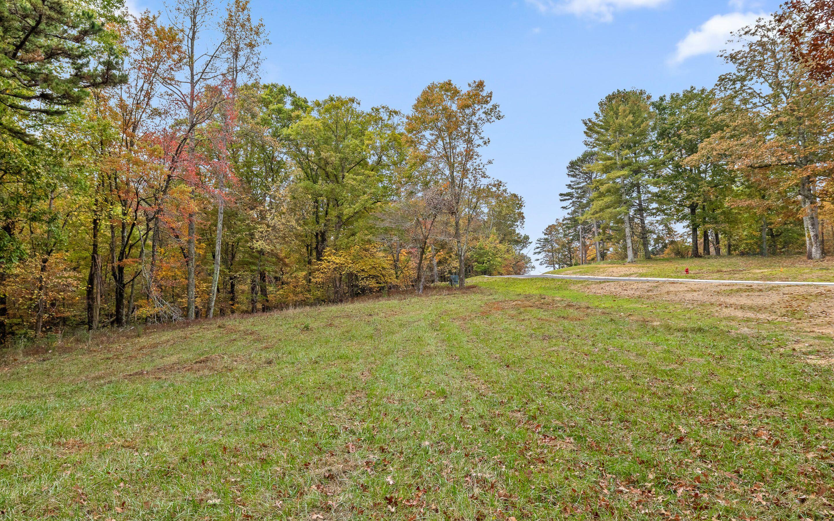 1820 Sawyer Farms Lane, Signal Mountain, Tennessee image 6