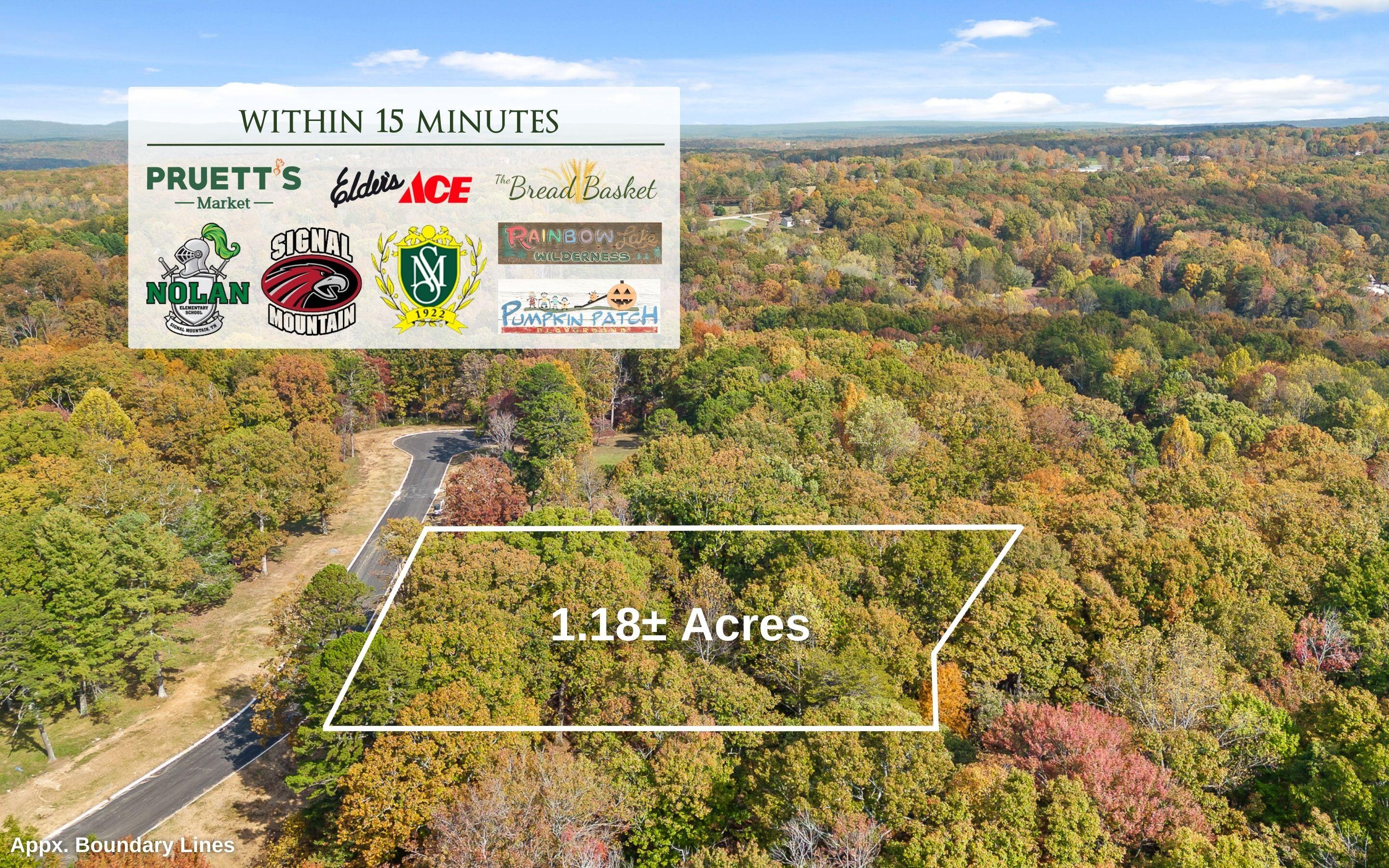 1820 Sawyer Farms Lane, Signal Mountain, Tennessee image 9