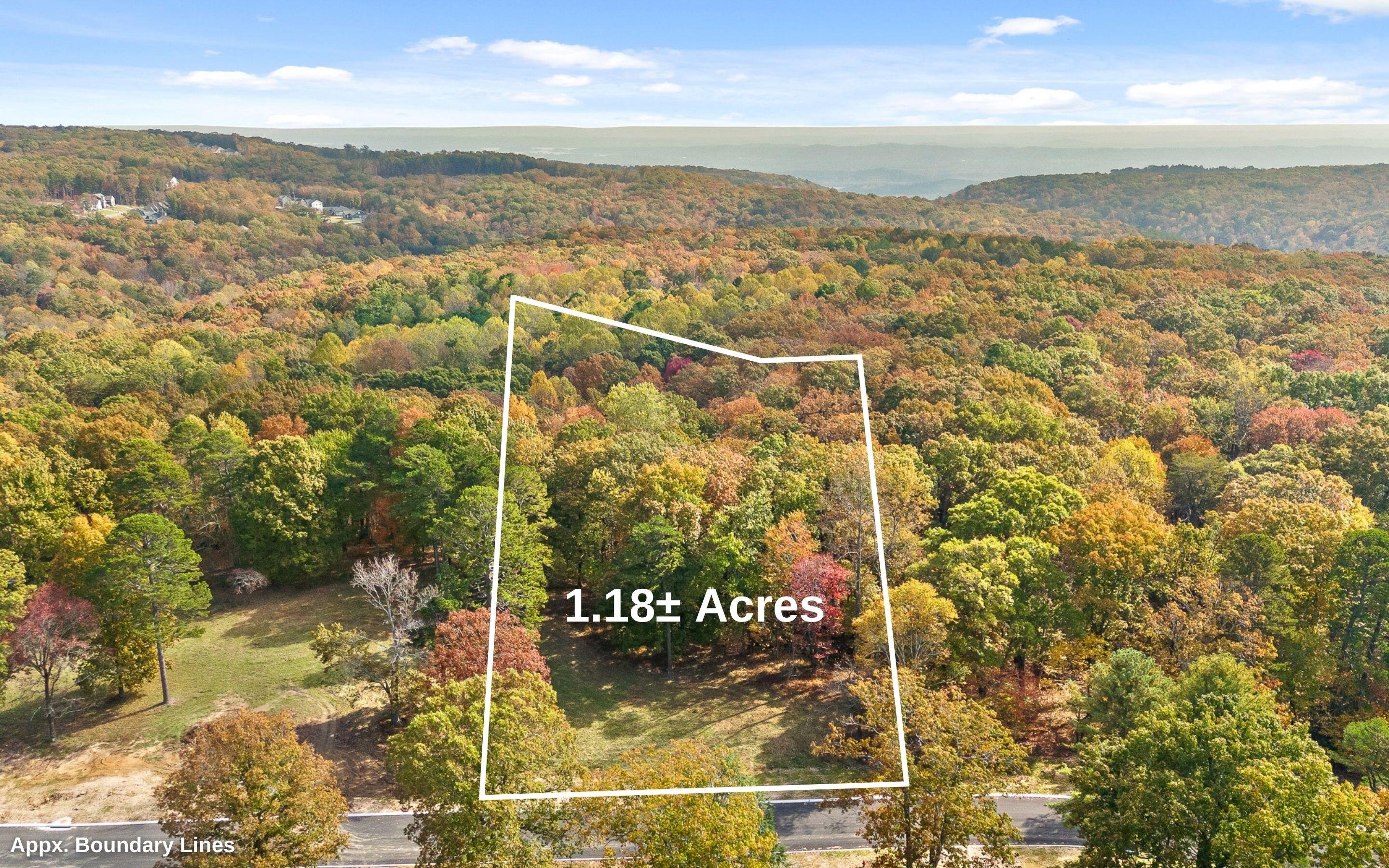 1820 Sawyer Farms Lane, Signal Mountain, Tennessee image 20