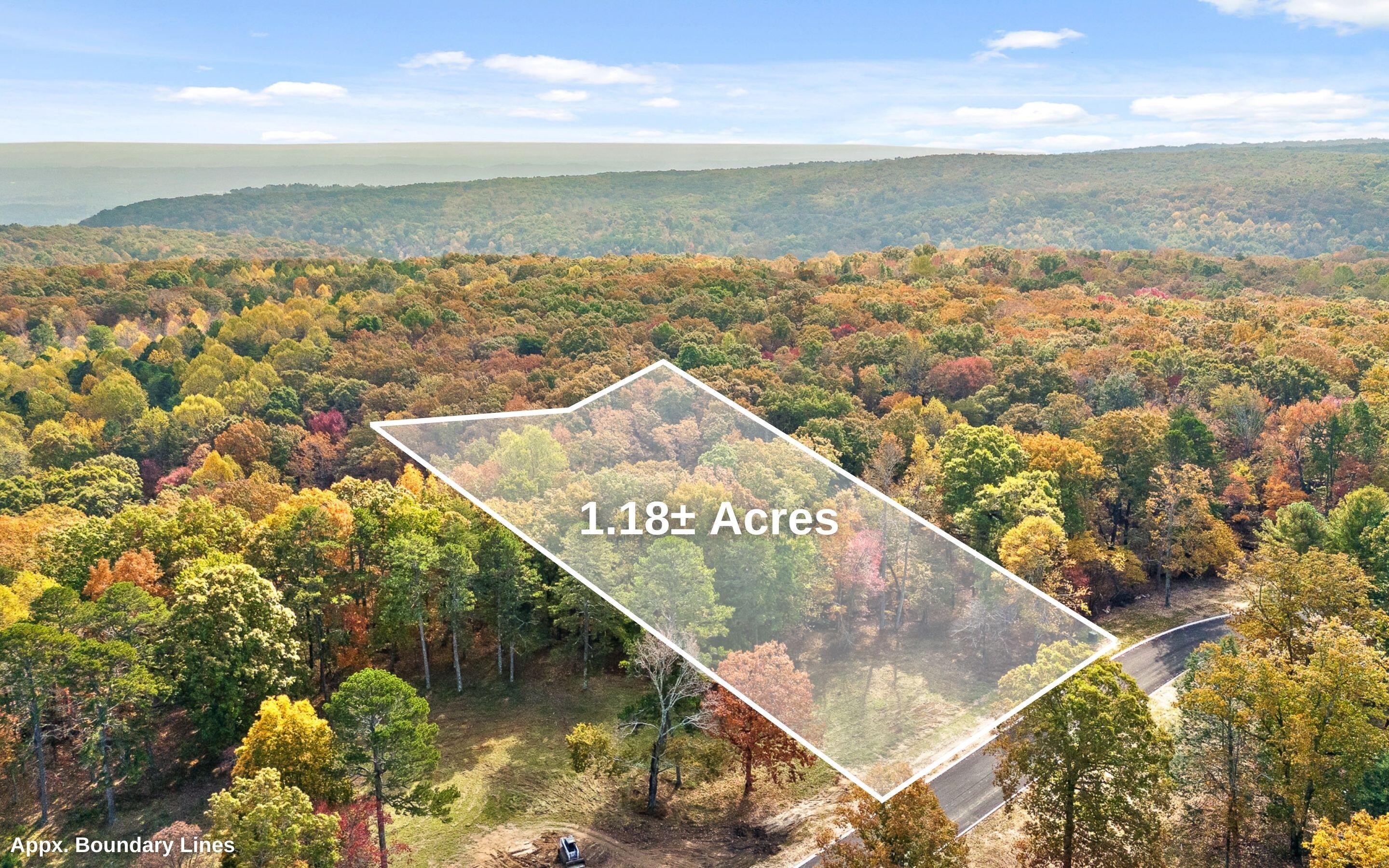 1820 Sawyer Farms Lane, Signal Mountain, Tennessee image 3