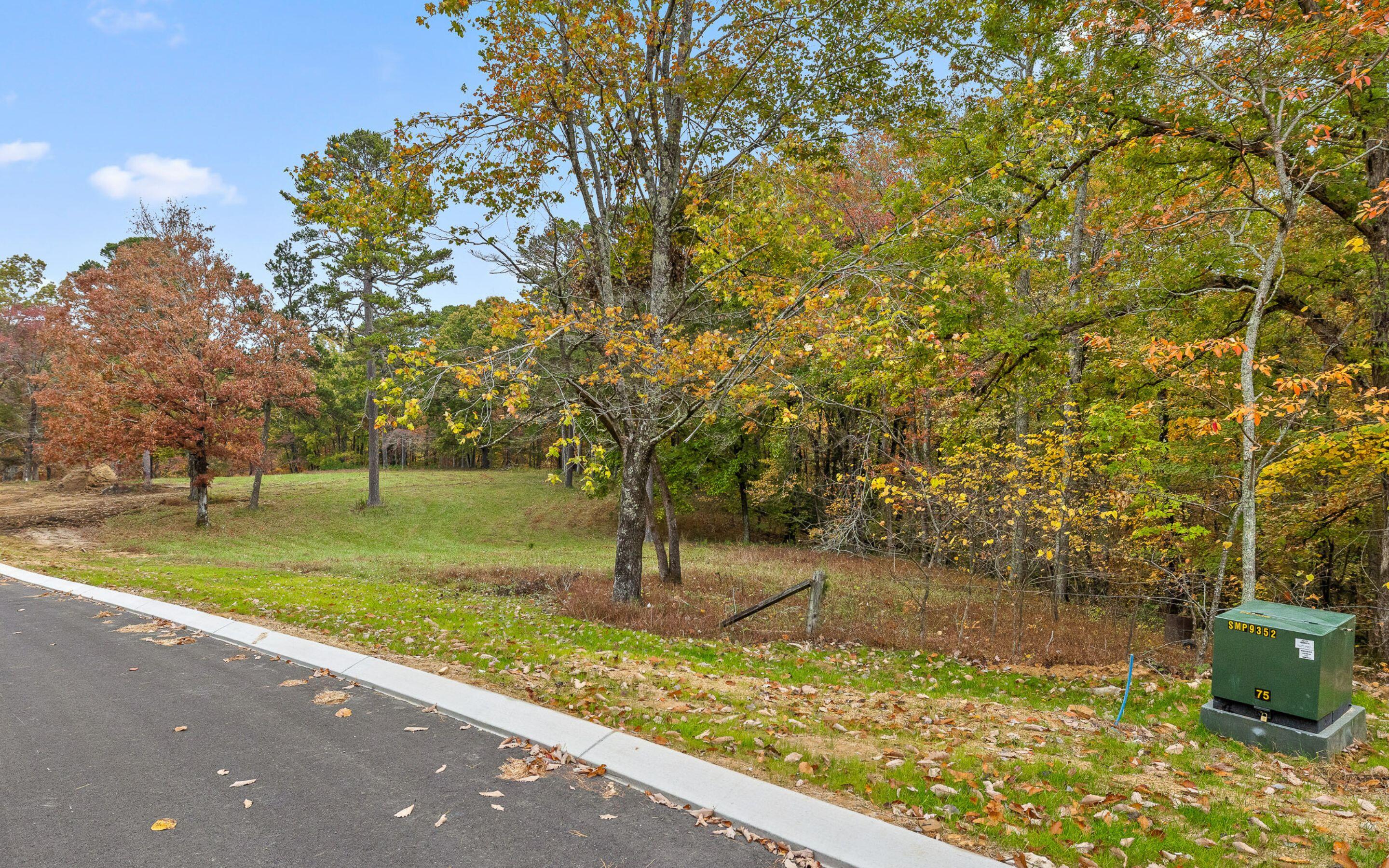 1820 Sawyer Farms Lane, Signal Mountain, Tennessee image 13
