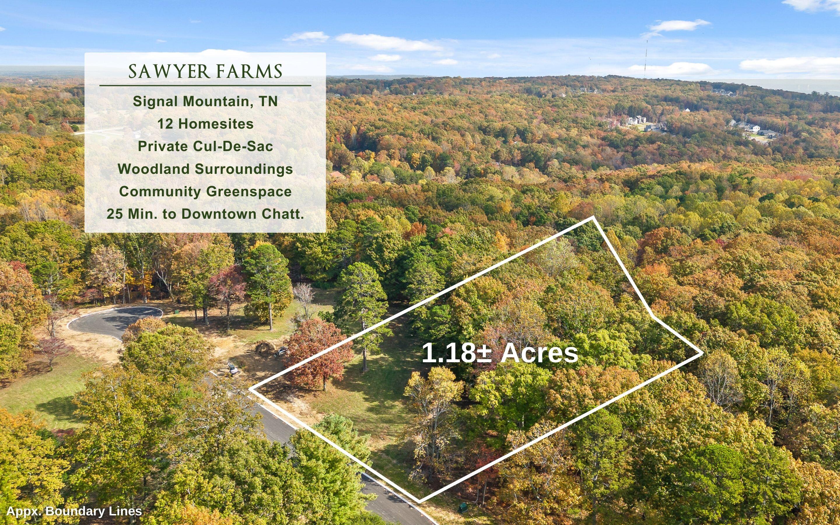1820 Sawyer Farms Lane, Signal Mountain, Tennessee image 10