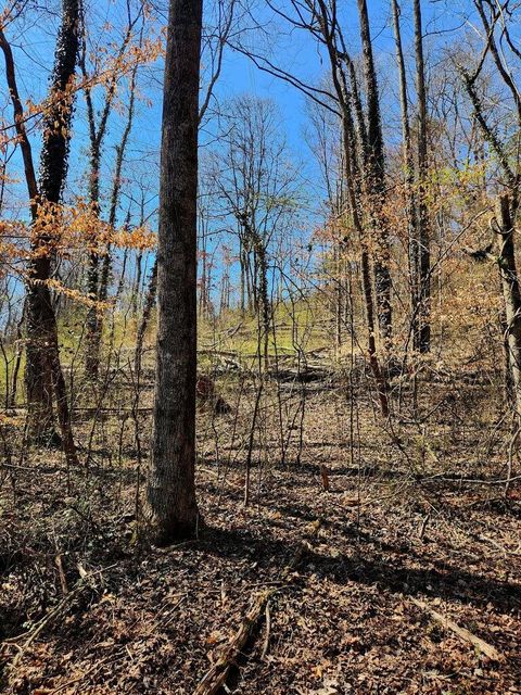 Tiny photo for 8819 Gann Road, Soddy Daisy, TN 37379 (MLS # 1527282)