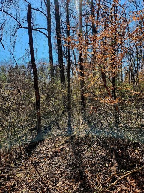 Tiny photo for 8819 Gann Road, Soddy Daisy, TN 37379 (MLS # 1527282)