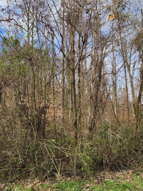 Tiny photo for 8819 Gann Road, Soddy Daisy, TN 37379 (MLS # 1527282)