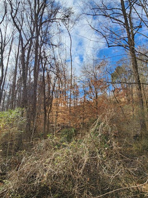 Photo of 8819 Gann Road, Soddy Daisy, TN 37379 (MLS # 1527282)
