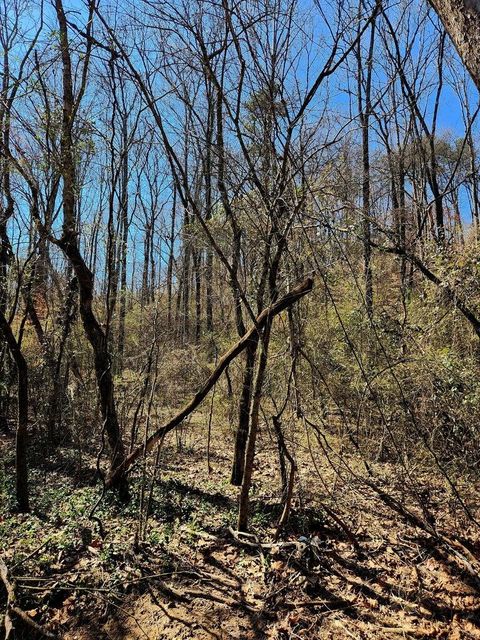 Tiny photo for 8819 Gann Road, Soddy Daisy, TN 37379 (MLS # 1527282)