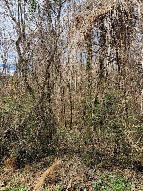 Tiny photo for 8819 Gann Road, Soddy Daisy, TN 37379 (MLS # 1527282)