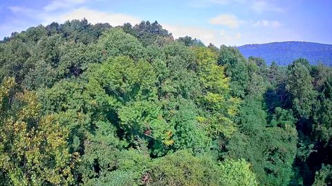 Tiny photo for 8819 Gann Road, Soddy Daisy, TN 37379 (MLS # 1527282)