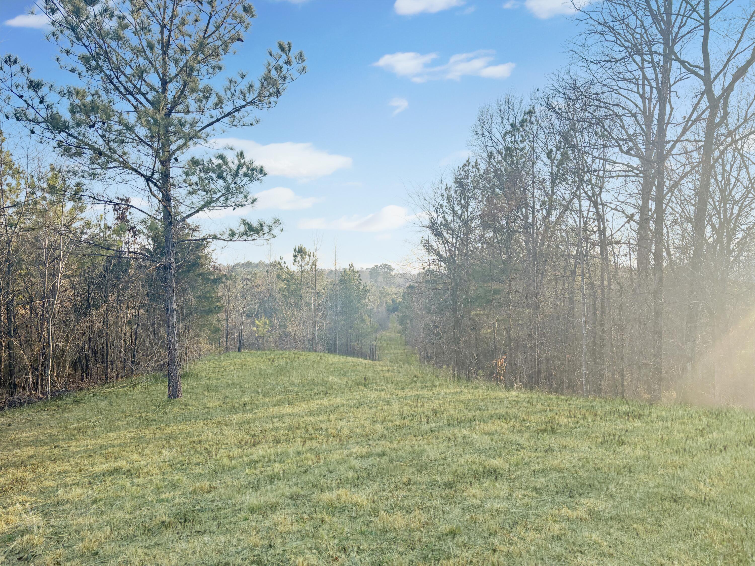1447 Union Road, Cleveland, Tennessee image 3
