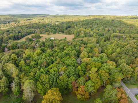 Tiny photo for 0 Payne Chapel Road, Lookout Mountain, GA 30750 (MLS # 1522156)