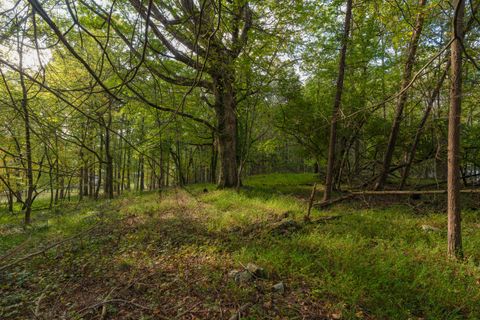 Tiny photo for 0 Payne Chapel Road, Lookout Mountain, GA 30750 (MLS # 1522156)