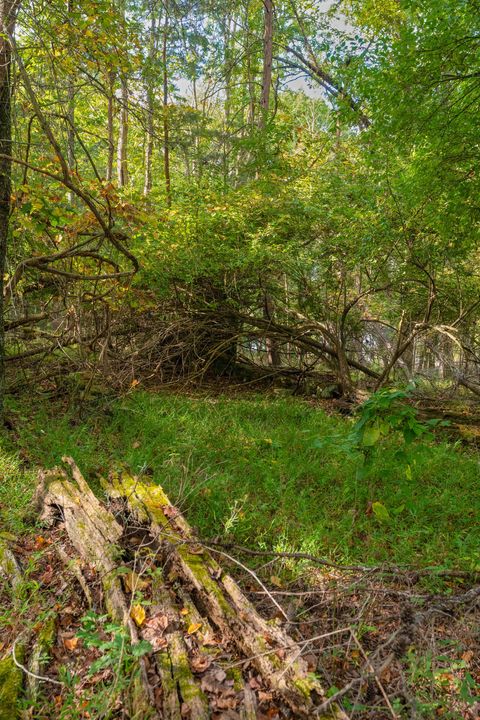 Tiny photo for 0 Payne Chapel Road, Lookout Mountain, GA 30750 (MLS # 1522156)