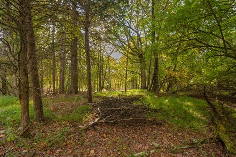 Tiny photo for 0 Payne Chapel Road, Lookout Mountain, GA 30750 (MLS # 1522156)