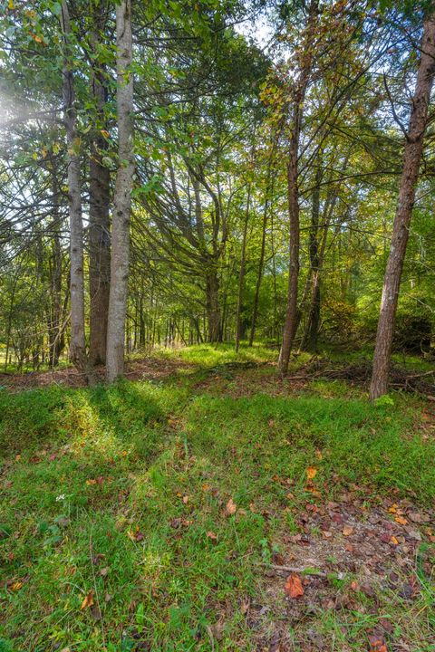 Tiny photo for 0 Payne Chapel Road, Lookout Mountain, GA 30750 (MLS # 1522156)