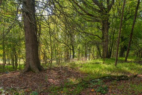Photo of 0 Payne Chapel Road, Lookout Mountain, GA 30750 (MLS # 1522156)