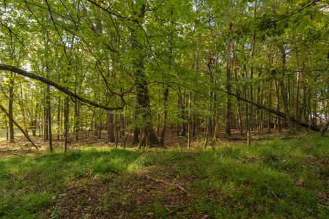 Tiny photo for 0 Payne Chapel Road, Lookout Mountain, GA 30750 (MLS # 1522156)