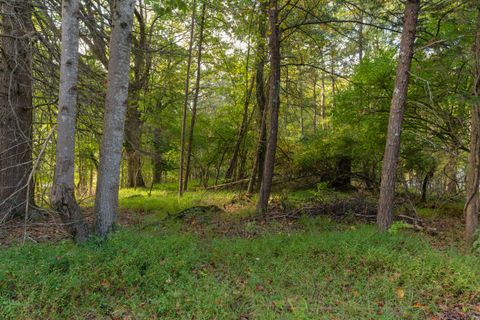 Tiny photo for 0 Payne Chapel Road, Lookout Mountain, GA 30750 (MLS # 1522156)