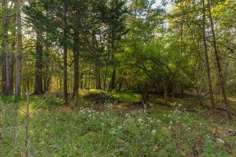 Tiny photo for 0 Payne Chapel Road, Lookout Mountain, GA 30750 (MLS # 1522156)