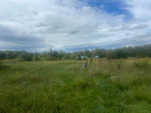 285 Raven Lane Evensville TN 37332