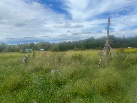 Tiny photo for 285 Raven Lane, Evensville, TN 37332 (MLS # 1527336)