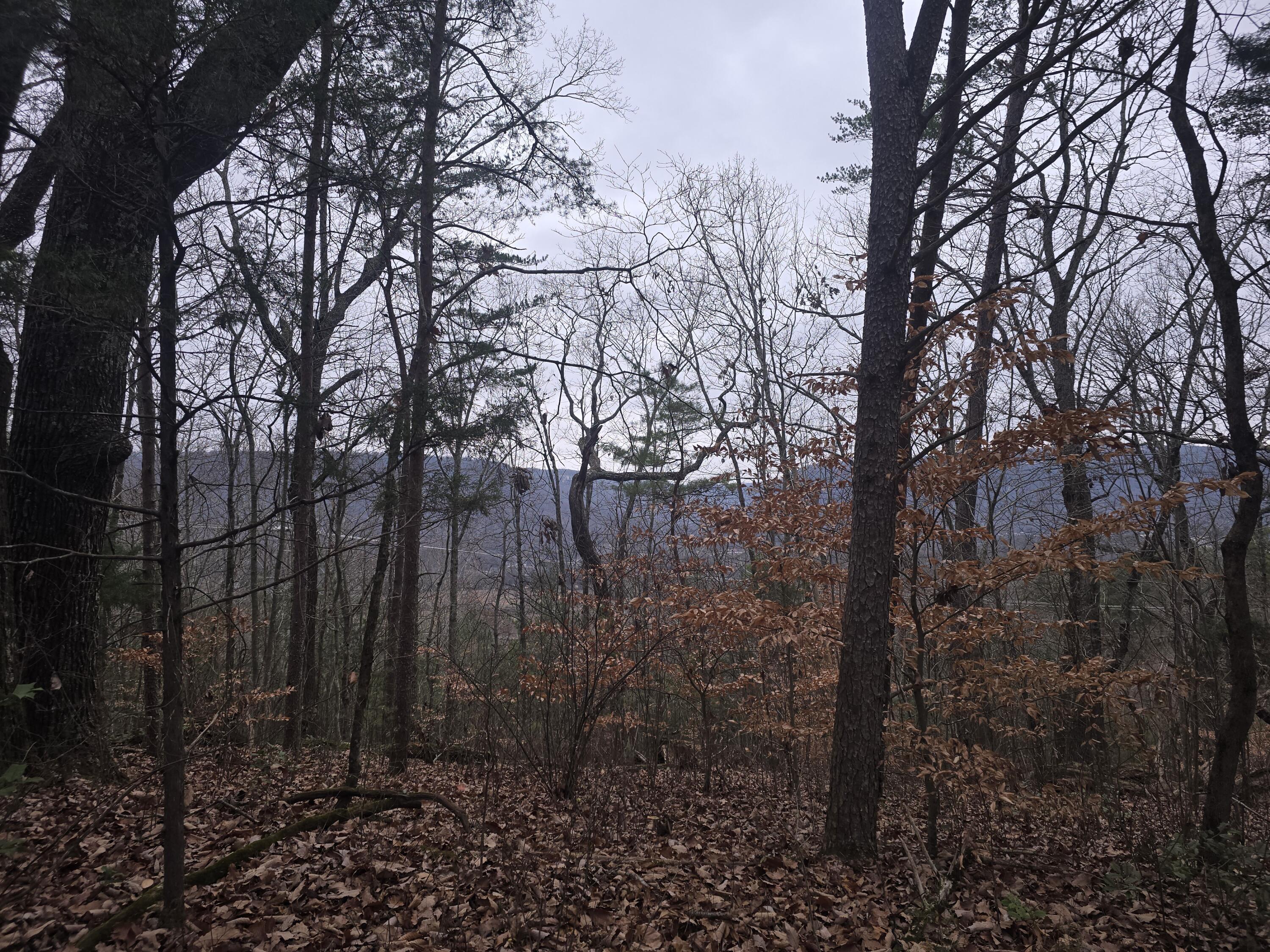 7943 Harper Road, Hixson, Tennessee image 3