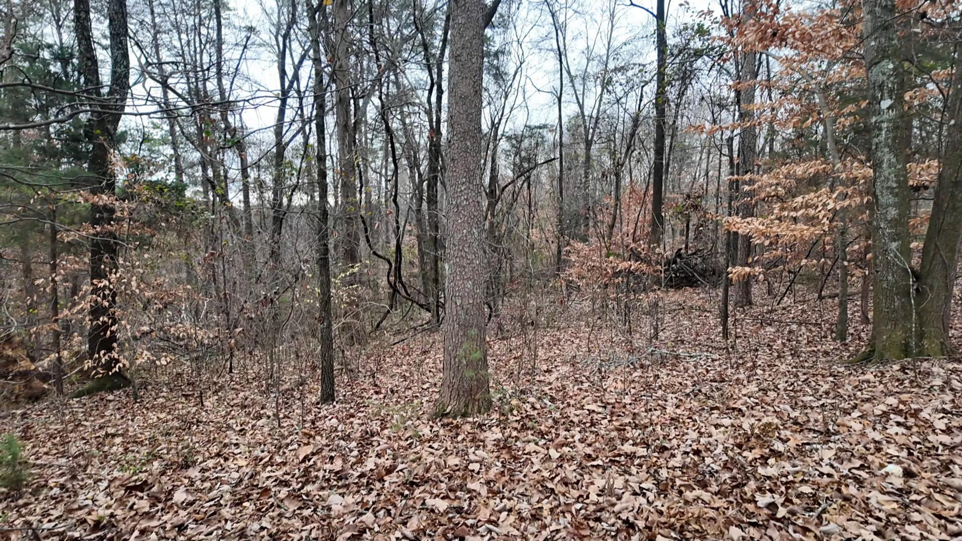 7943 Harper Road, Hixson, Tennessee image 6