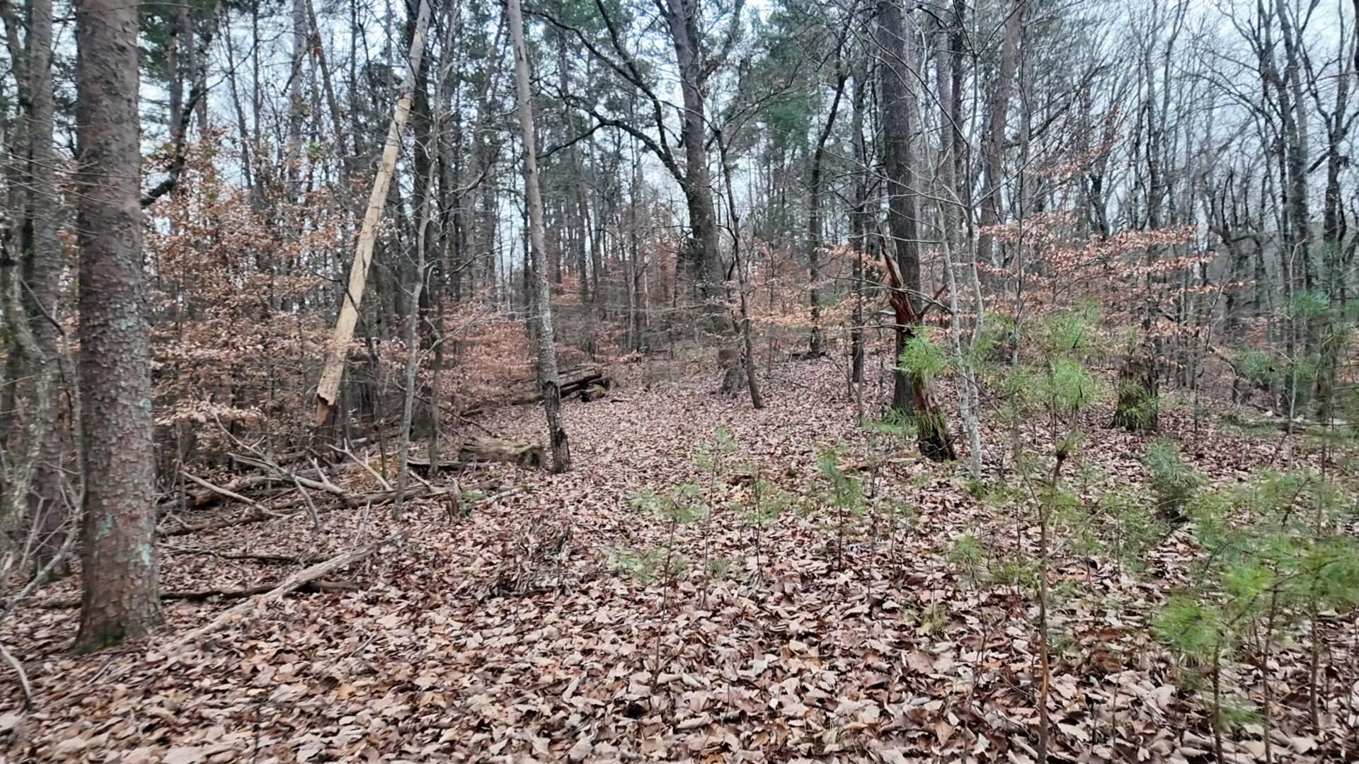 7943 Harper Road, Hixson, Tennessee image 5