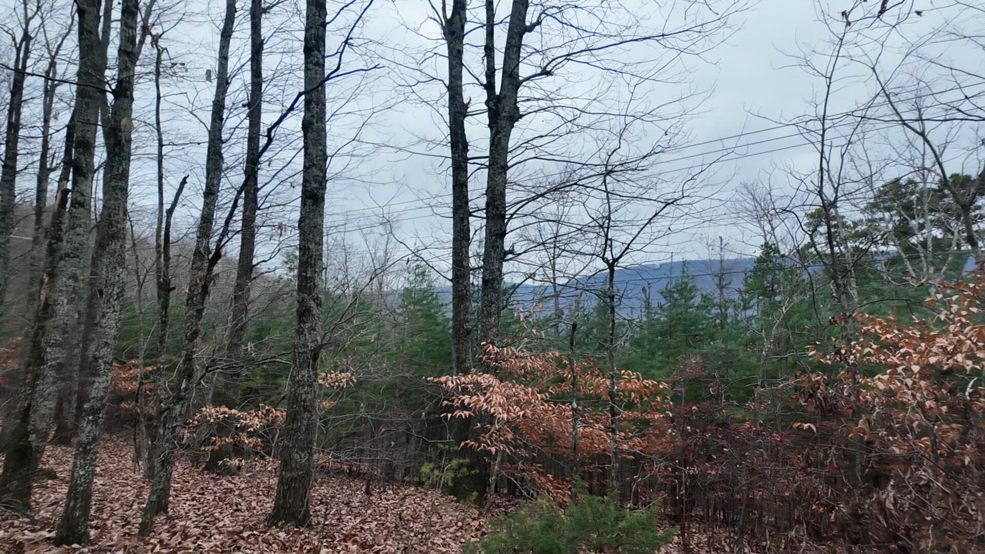7943 Harper Road, Hixson, Tennessee image 2