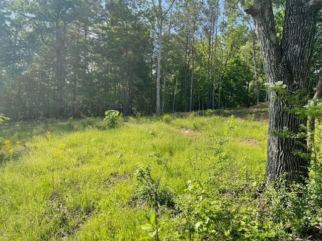 6283 Cooley Road, Harrison, Tennessee image 13