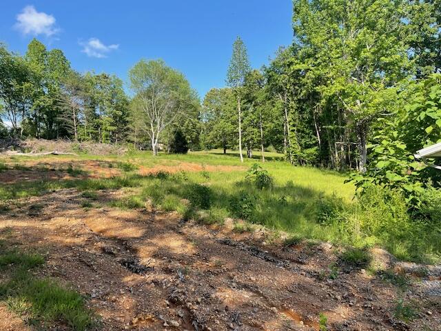 6283 Cooley Road, Harrison, Tennessee image 14