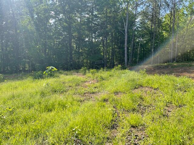 6283 Cooley Road, Harrison, Tennessee image 11