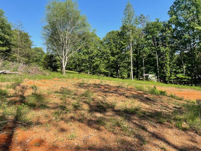 6283 Cooley Road, Harrison, Tennessee image 5